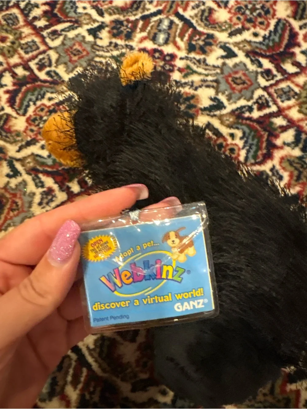 Webkinz Black bear